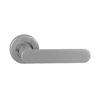 Stainless Steel Solid-Casting Door Handle