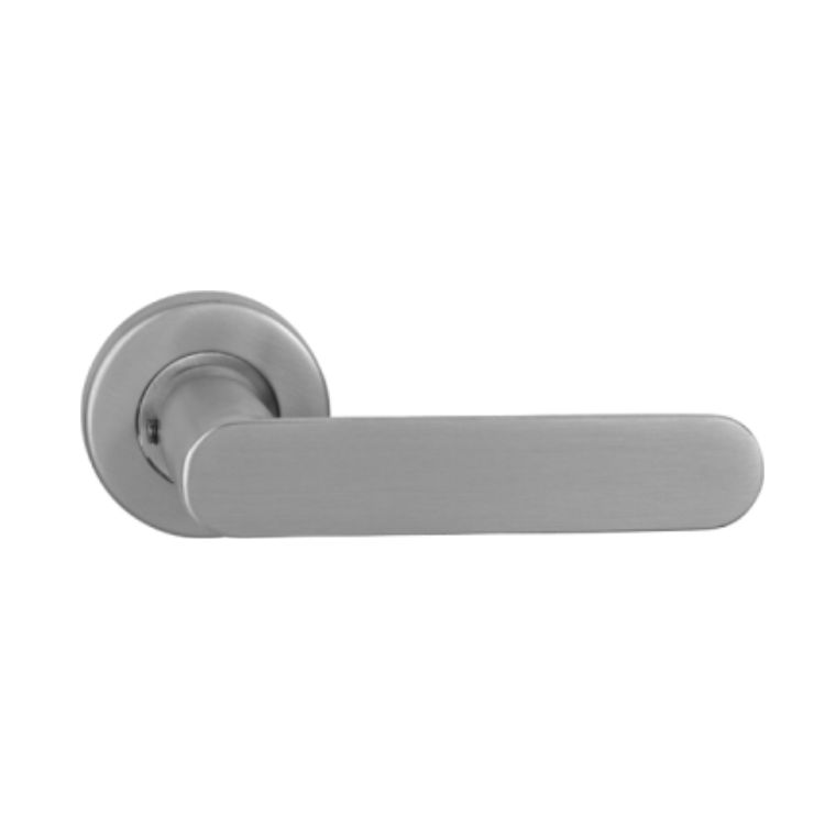 Stainless Steel Solid-Casting Door Handle