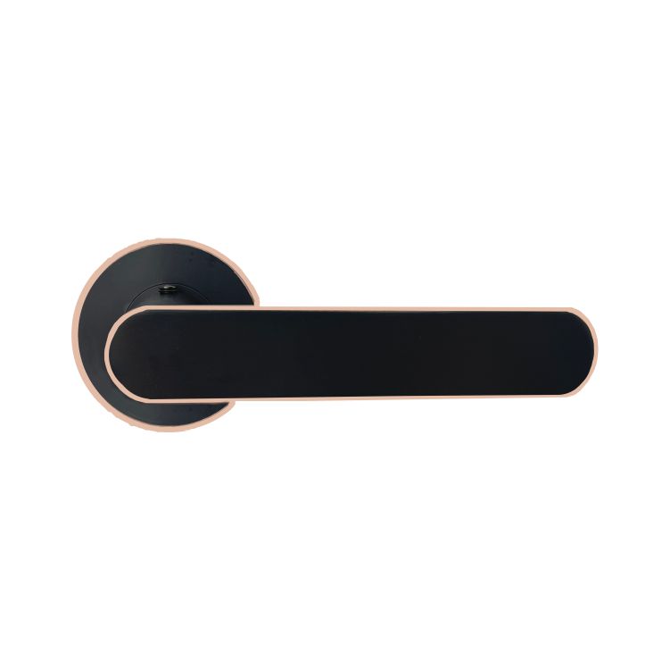Modern Anti-Theft Door Knob ORB Door Handle